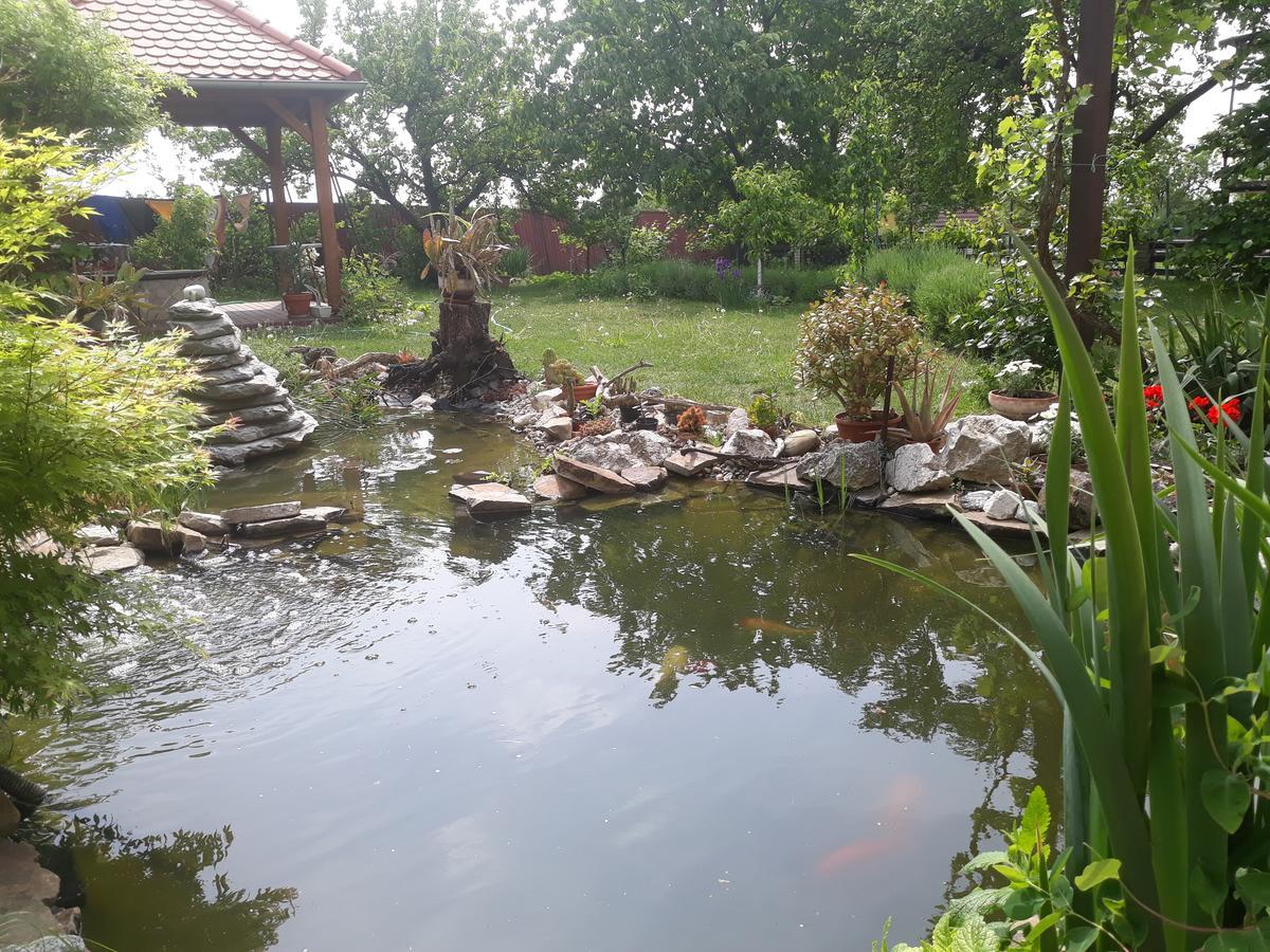 Pension Zeleny Strom Мікулов Екстер'єр фото